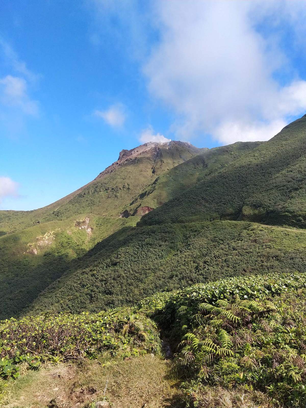 Vue sur le sommet de la Soufrière, volcan de la Guadeloupe, entouré de forêt tropicale